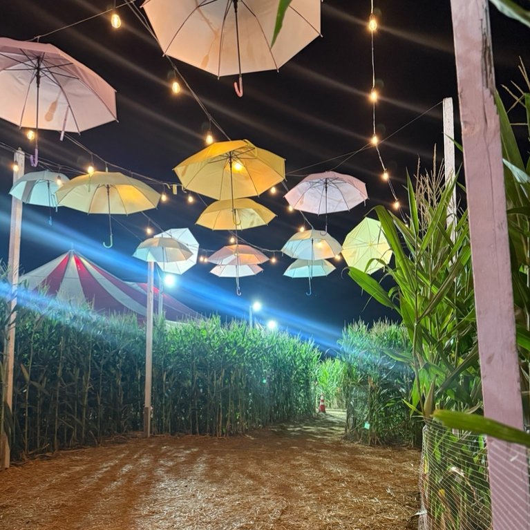 Umbrella Light Tunnel

